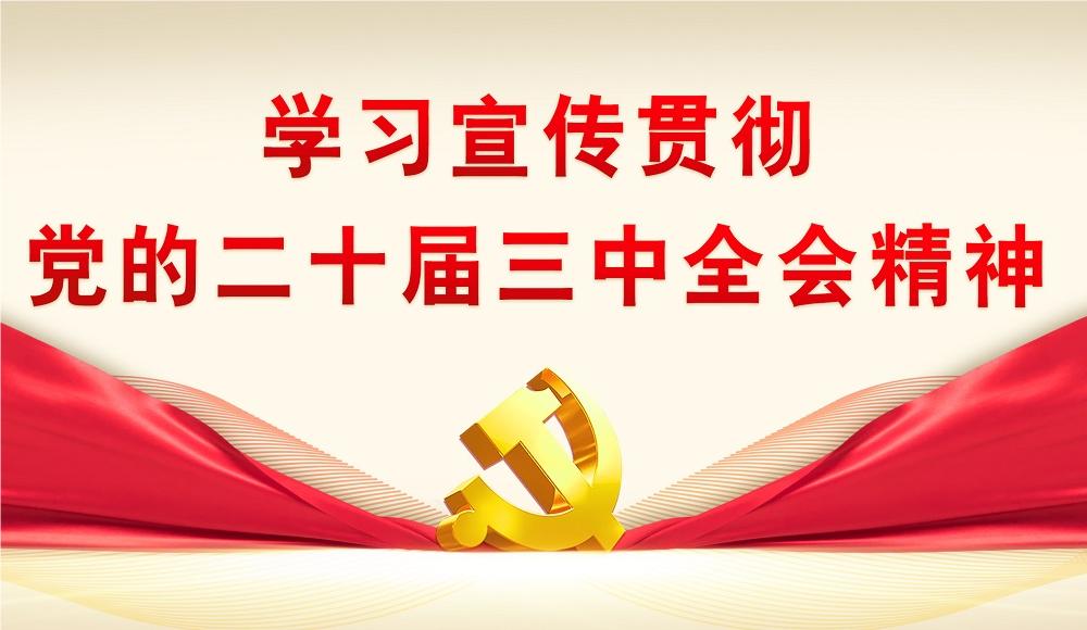 【專題】學(xué)習(xí)宣傳貫徹黨的二十大三中全會(huì)精神